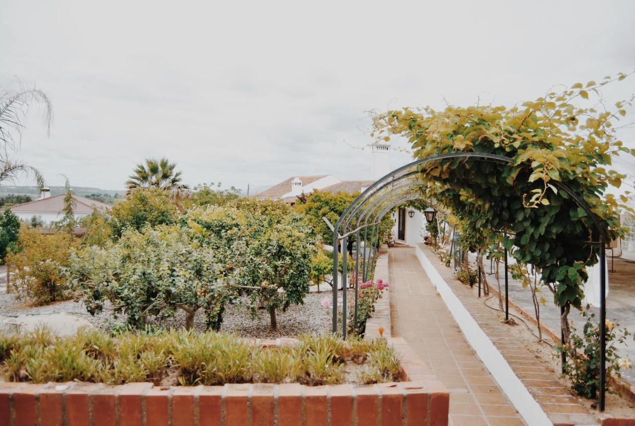 Quinta De Sao Pedro De Tomar Villa Ngoại thất bức ảnh