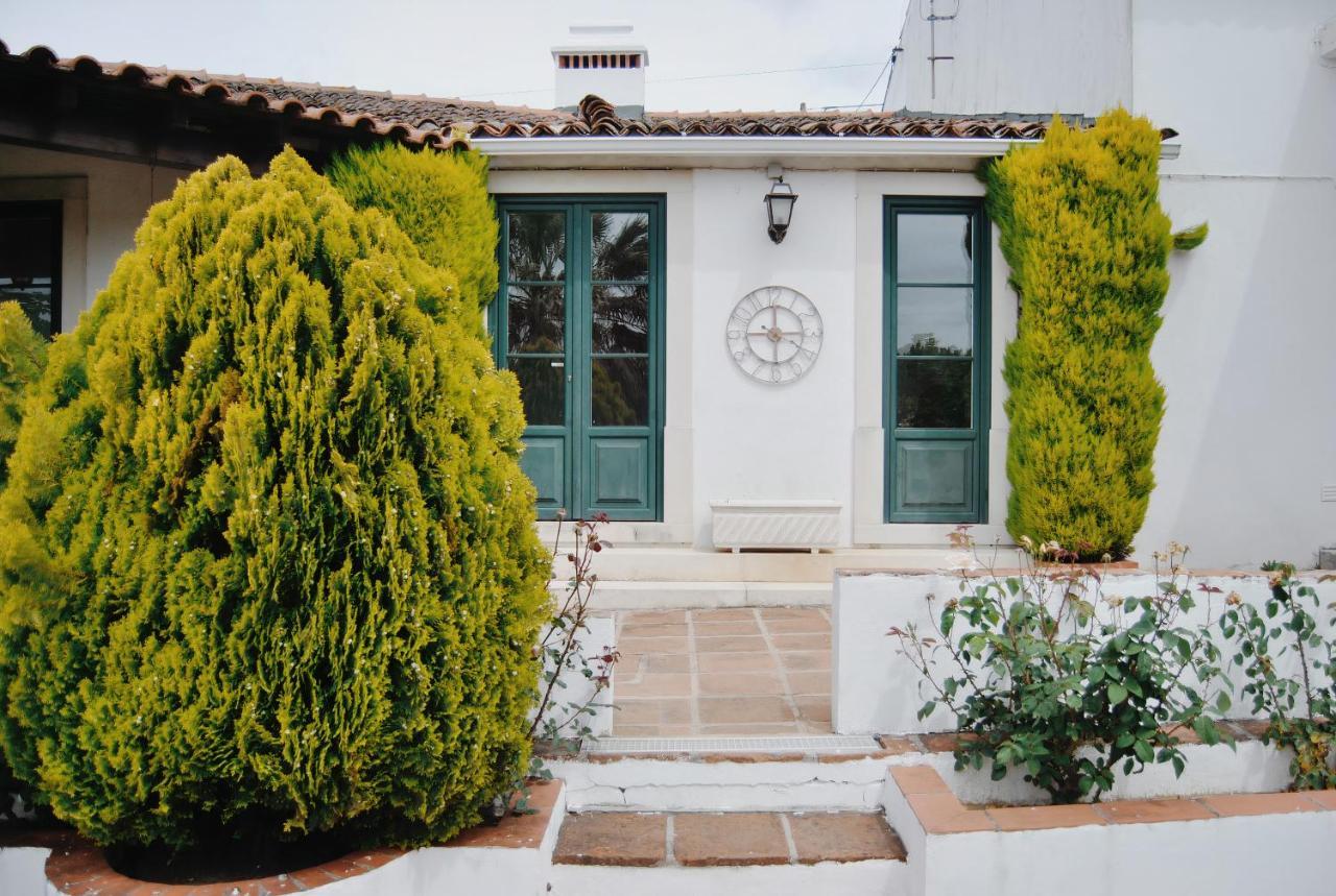 Quinta De Sao Pedro De Tomar Villa Ngoại thất bức ảnh
