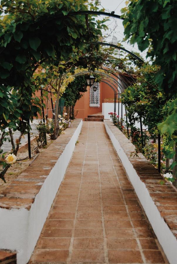 Quinta De Sao Pedro De Tomar Villa Ngoại thất bức ảnh