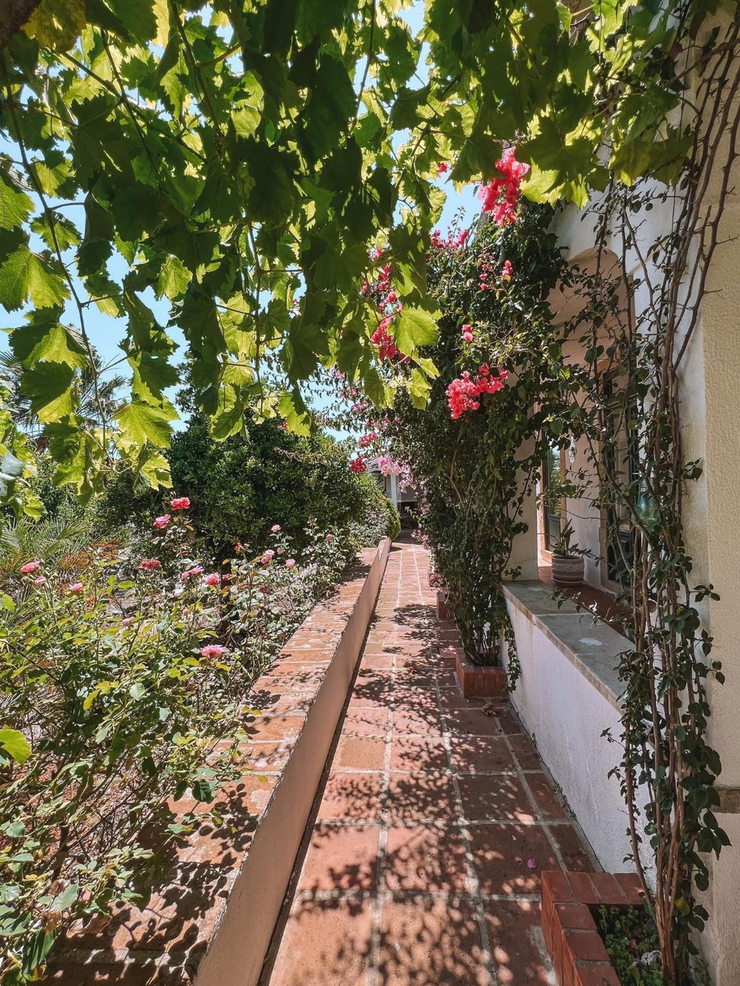 Quinta De Sao Pedro De Tomar Villa Ngoại thất bức ảnh